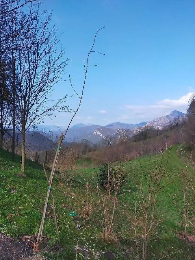 Chalet Simonetta - Locanda Da Tullio Capovalle Apartment